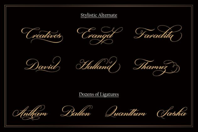 Danizatti script Poster 3