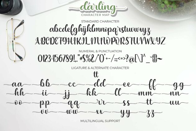 Darling Poster 2