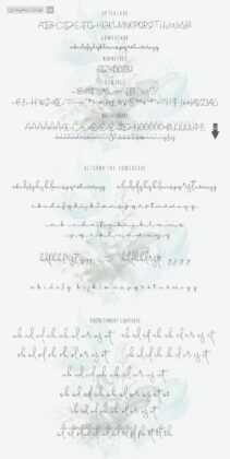 Delegation Poster 5
