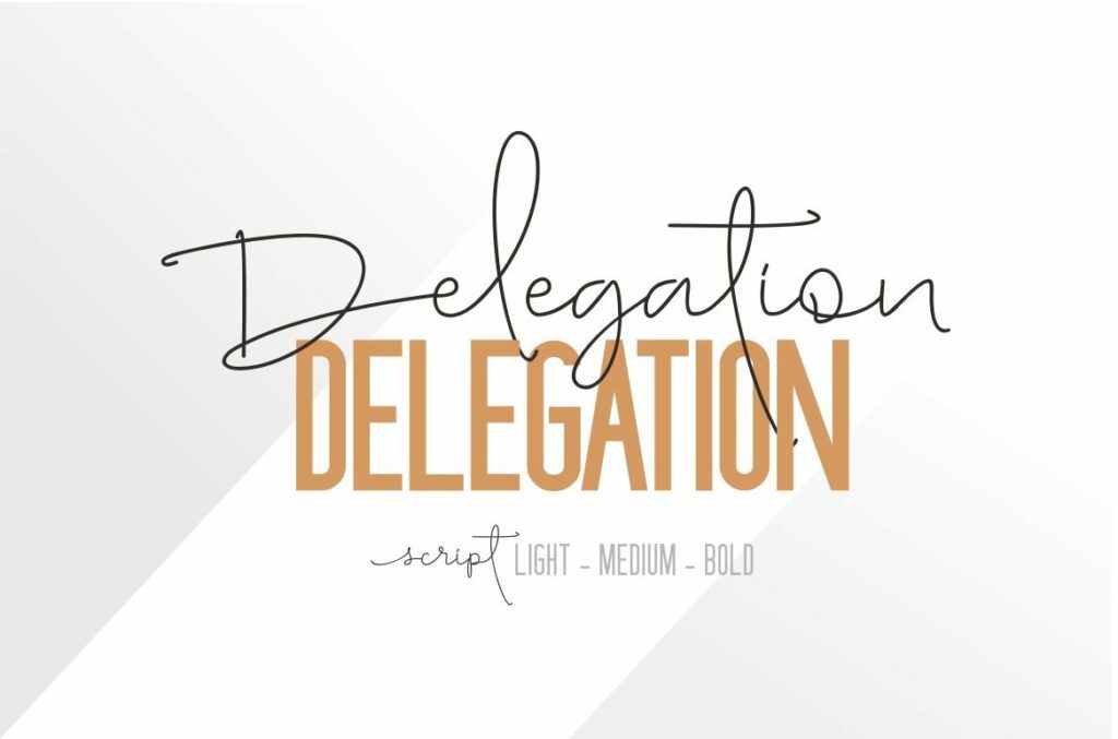 Delegation Poster 9
