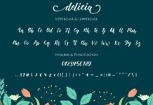 Delicia Script Poster 1
