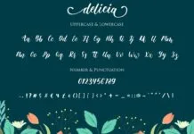 Delicia Script Poster 1