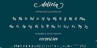 Delicia Script Poster 1