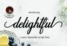 delightful Poster 1