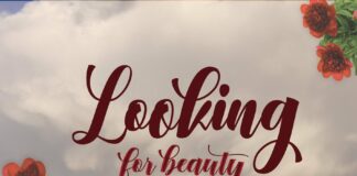 Denmahis Script Poster 1