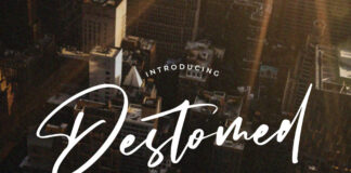 Destomed - Brush Font Poster 1