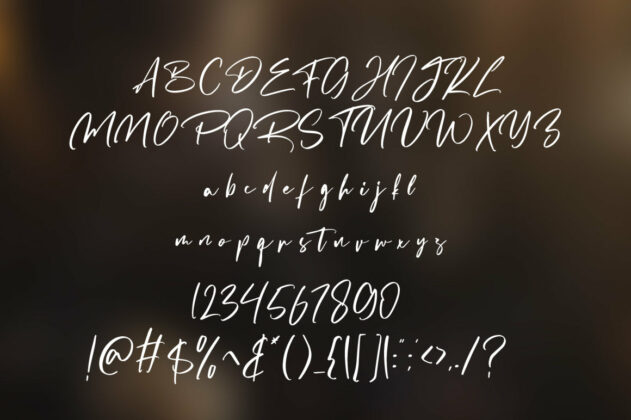 Destomed - Brush Font Poster 3
