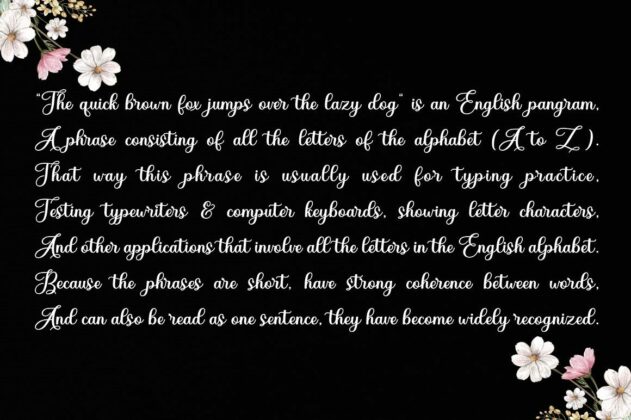 Diary Angelique Poster 4