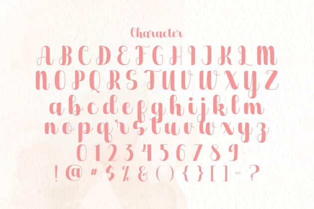 Dilaney - Handwritten Font Poster 4