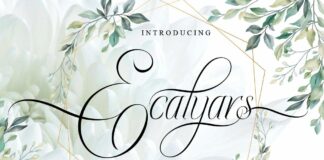 Ecalyars Poster 1