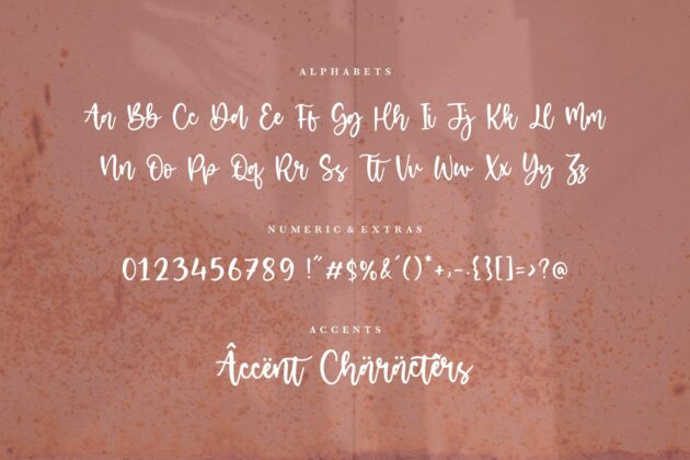 Eclipse Cinema Beautiful Modern Handwritten Font Poster 4