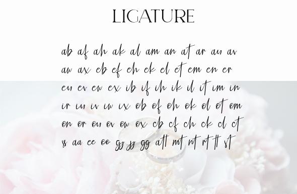 Elegant Fashion Duo Font Poster 9