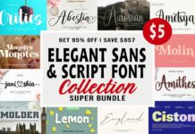 Elegant Sans & Script Font Collection Poster 1