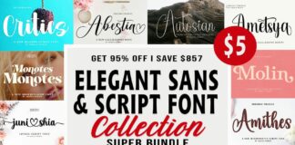 Elegant Sans & Script Font Collection Poster 1