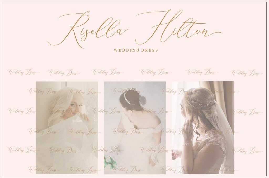 Elise Dafisa - Elegant Script Font Poster 2