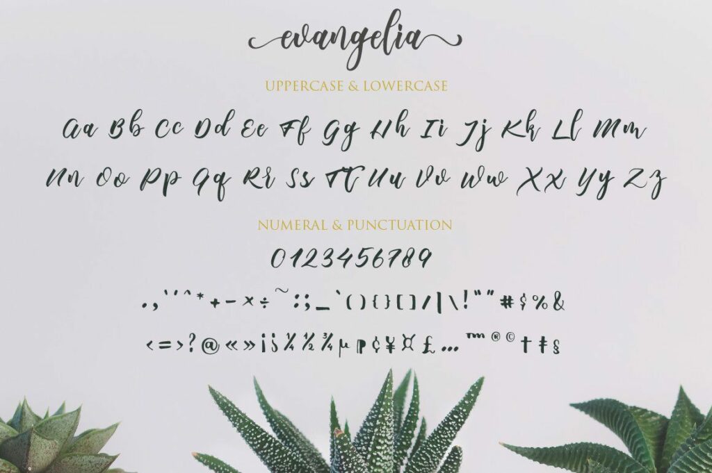 Evangelia Script Poster 6