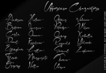 Fabregas Poster 1