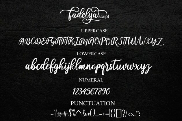 Fadelya script Poster 6
