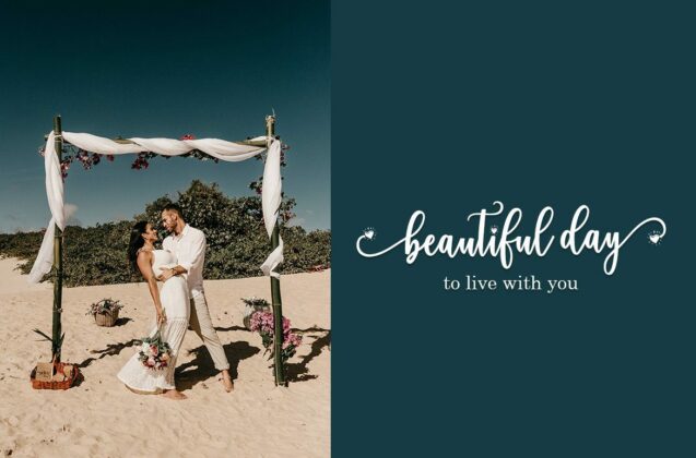 Fadilla Script Font Poster 5