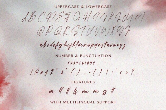 Faloney Script - Handwritten Font Poster 4