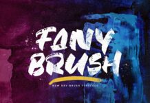 Fany Brush - Textured Brush Font Poster 1