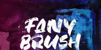Fany Brush - Textured Brush Font Poster 1