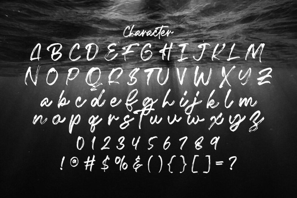 Fentry - Textured Brush Font Poster 1
