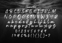 Fentry - Textured Brush Font Poster 1