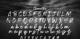 Fentry - Textured Brush Font Poster 1