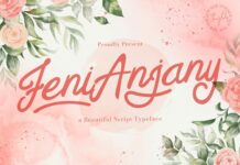 Feny Anjany - Handwritten Font Poster 1
