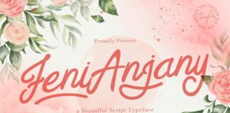 Feny Anjany - Handwritten Font Poster 1