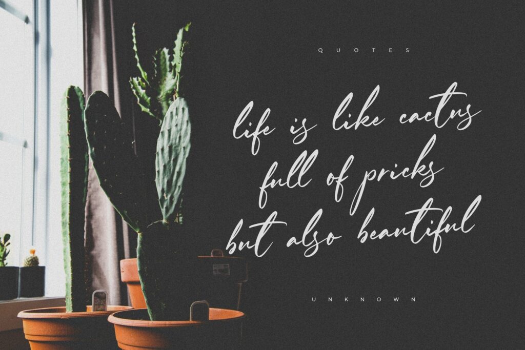 Ferguson Hunter Modern Calligraphy Font Poster 2