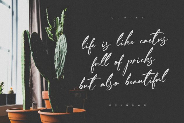 Ferguson Hunter Modern Calligraphy Font Poster 2