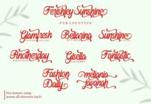 Ferishley Sunshine Poster 1