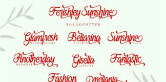 Ferishley Sunshine Poster 1