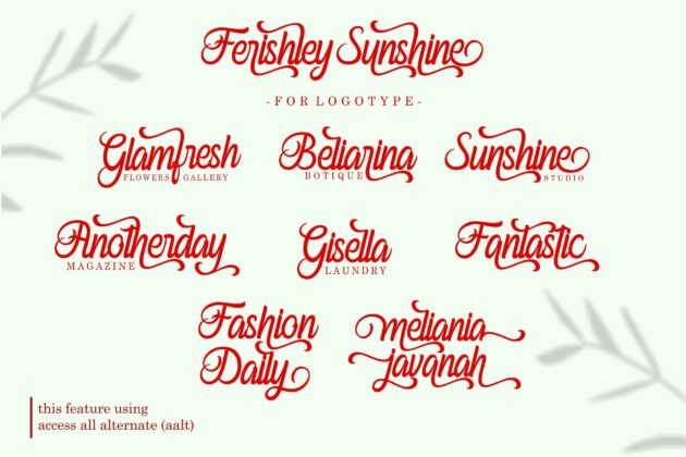 Ferishley Sunshine Poster 1