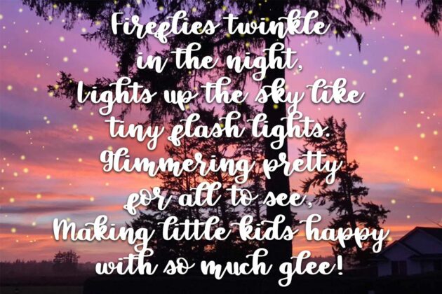 Firefly Nights - A Duo Font Family - Pretty Script Poster 5