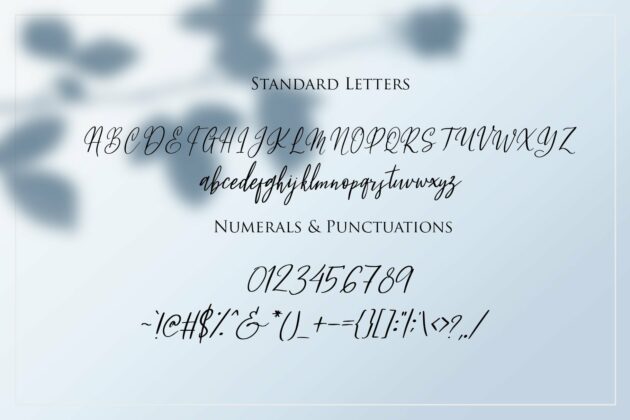 Fleur Bleue - Beautiful Romantic Font Poster 4