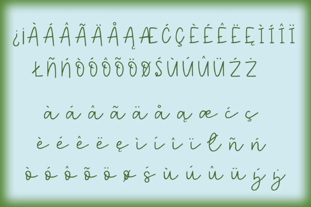Flying High - A handlettered script font Poster 6