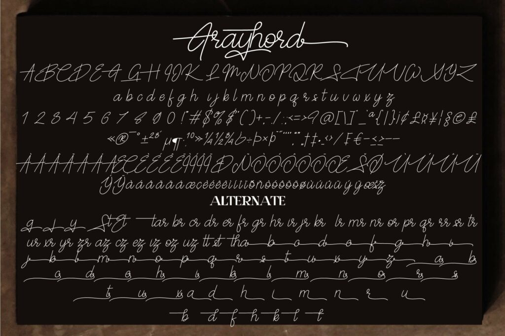 Frayhord Monoline Script Poster 8