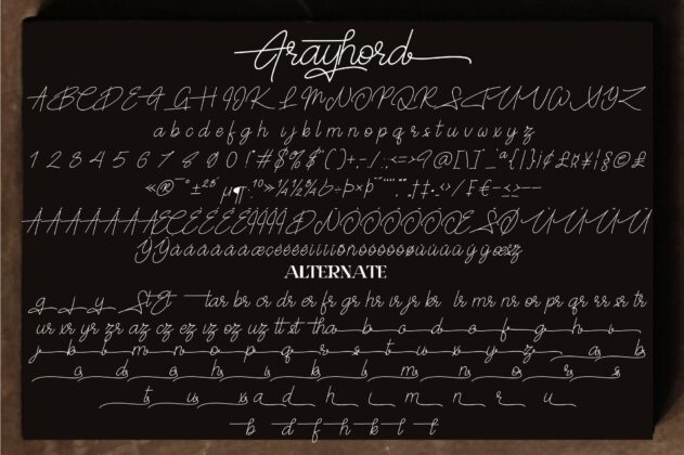 Frayhord Monoline Script Poster 8
