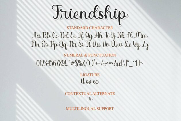 Friendship Poster 8