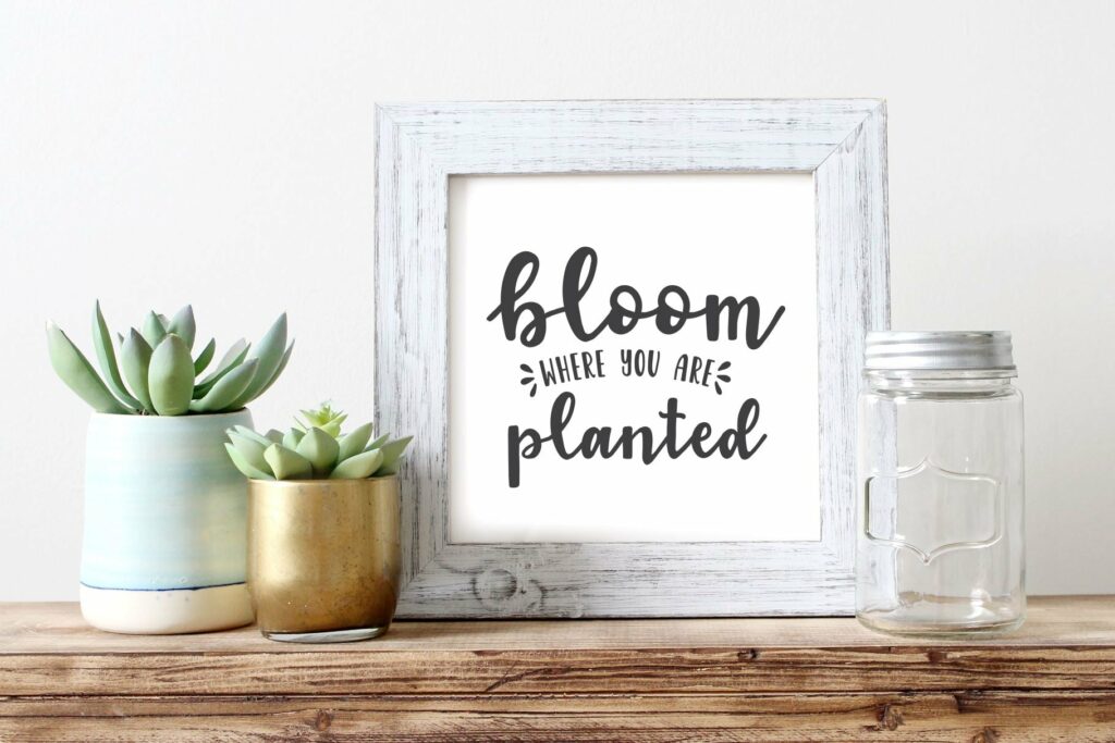 Garden Fancy Font Duo Poster 6