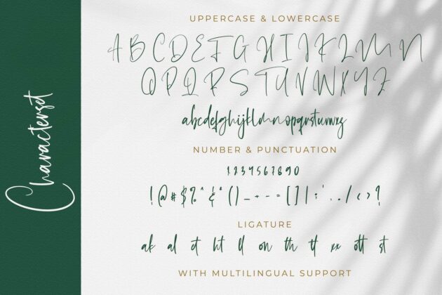Gareth Bayu - Handwritten Font Poster 7