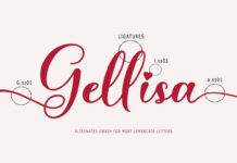 Gellisa Script Poster 1