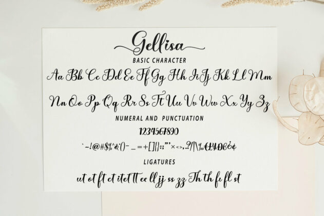 Gellisa Script Poster 4