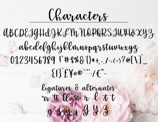 girlie script Poster 4