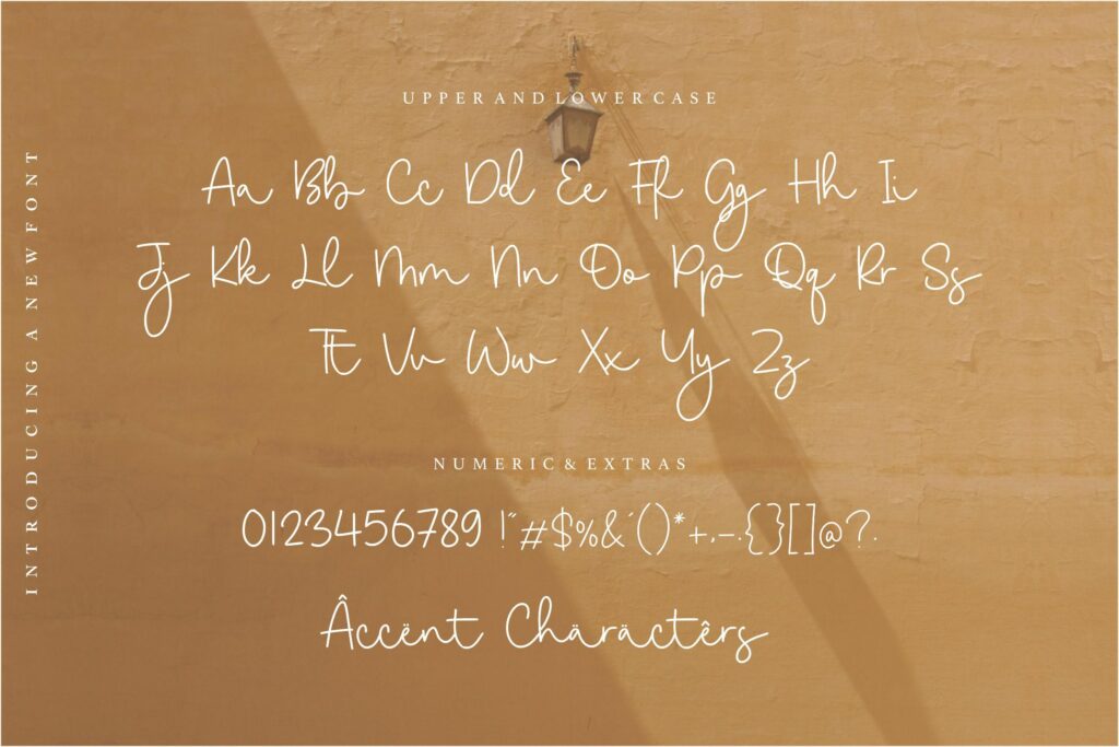 Goldwind Casual Monoline Handwritten Font Poster 6