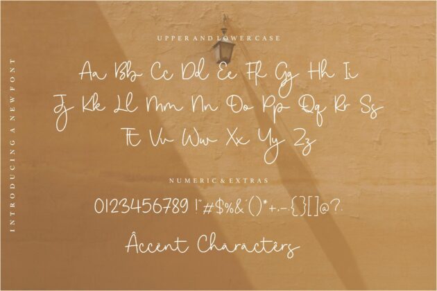 Goldwind Casual Monoline Handwritten Font Poster 6