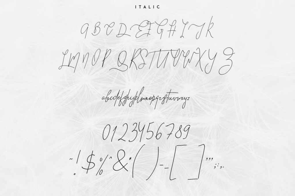Good Wish Signature font Poster 1
